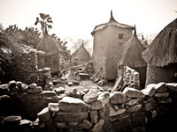 DSC00981