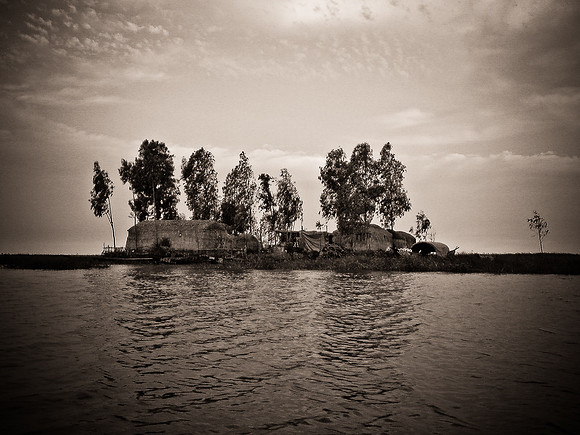 DSC01204