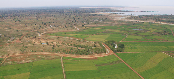 Maraîchage au pied du barrage de Bagré